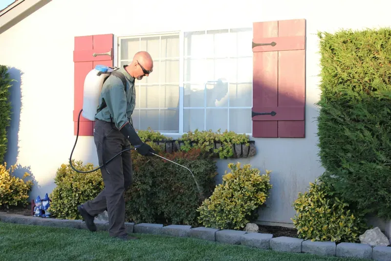 Eco-friendly pest control techniques
