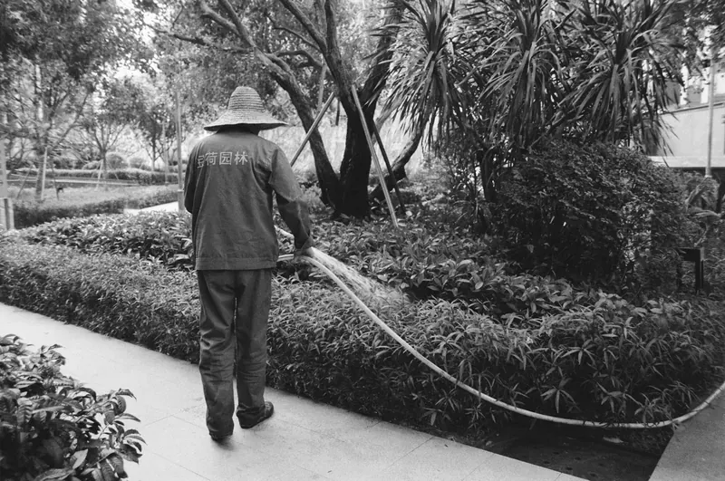 Technician using eco-friendly pest control methods