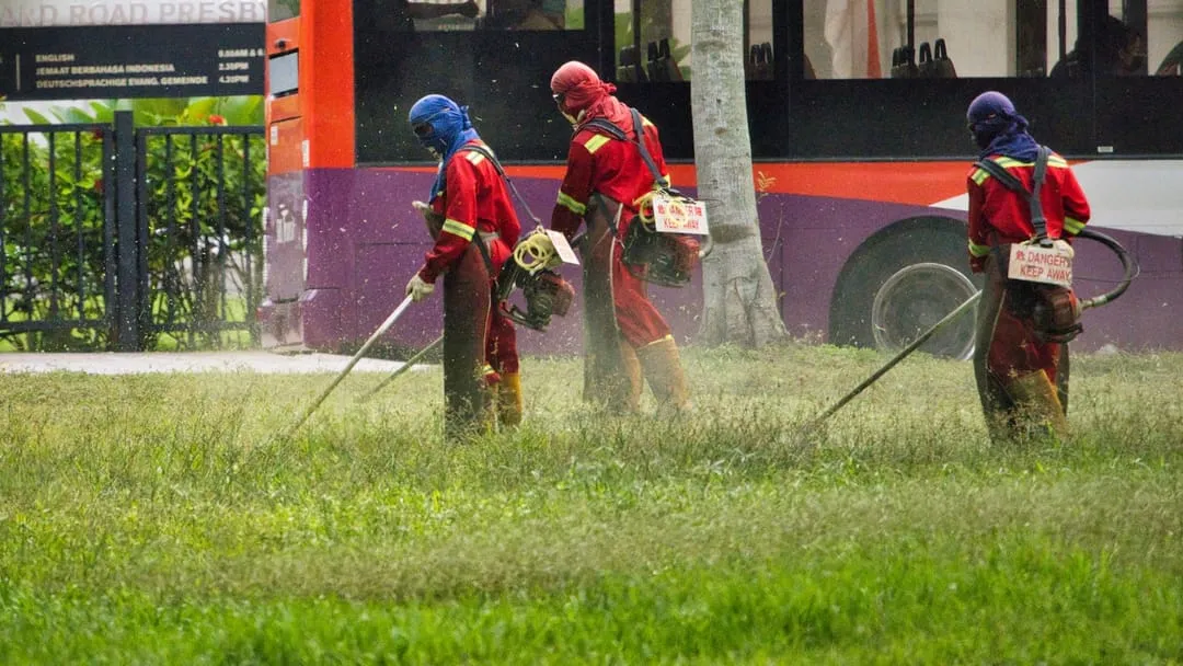 How to compare pest control services