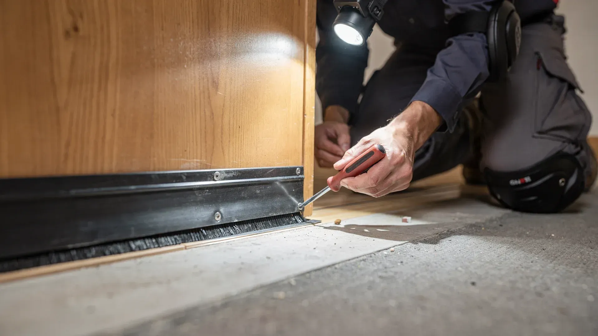 Book pest control online with Mr Solution — fast and easy scheduling