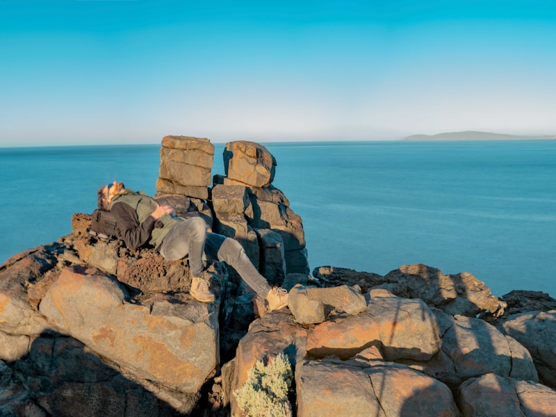 Hallett Cove Conservation Park boardwalk and coastal cliffs SA — pest control service area for Mr Solution