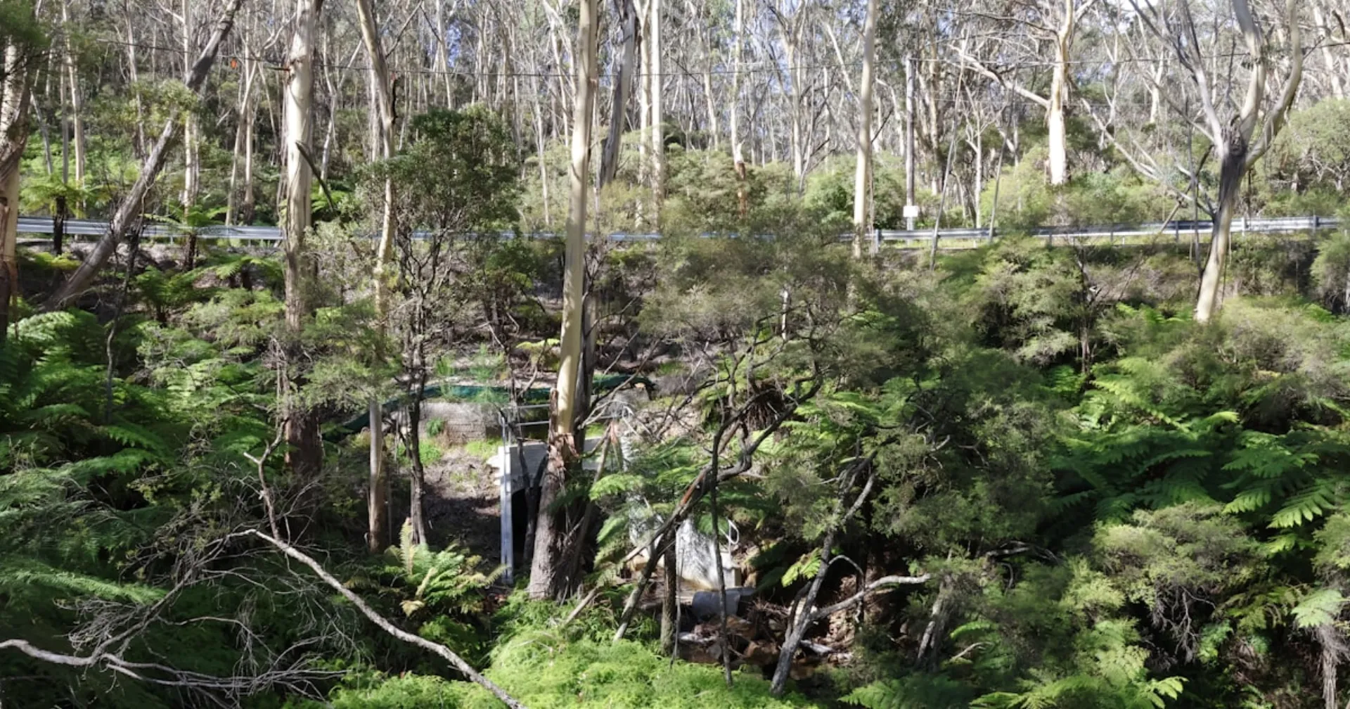 Mr Solution pest control technician at a home in Happy Valley, South Australia 5159