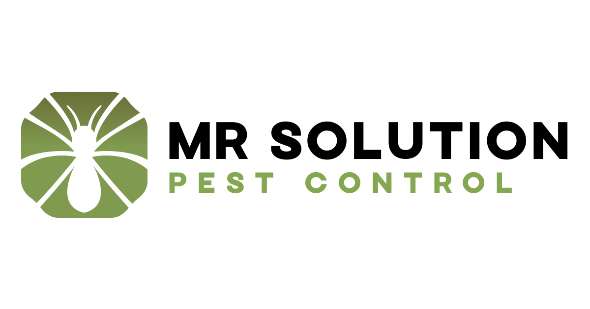 Ant Control Trott Park | From $270 | Mr Solution