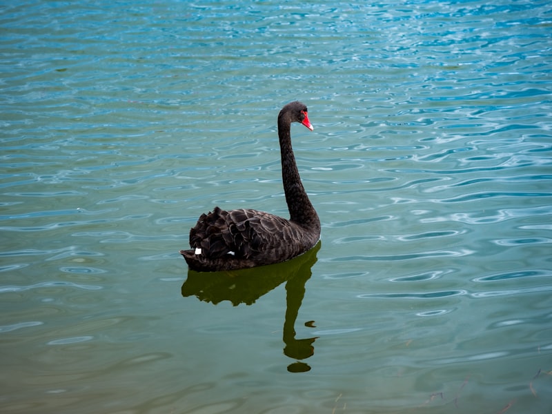 Onkaparinga River estuary near Seaford SA — pest control service area for Mr Solution Pest Control