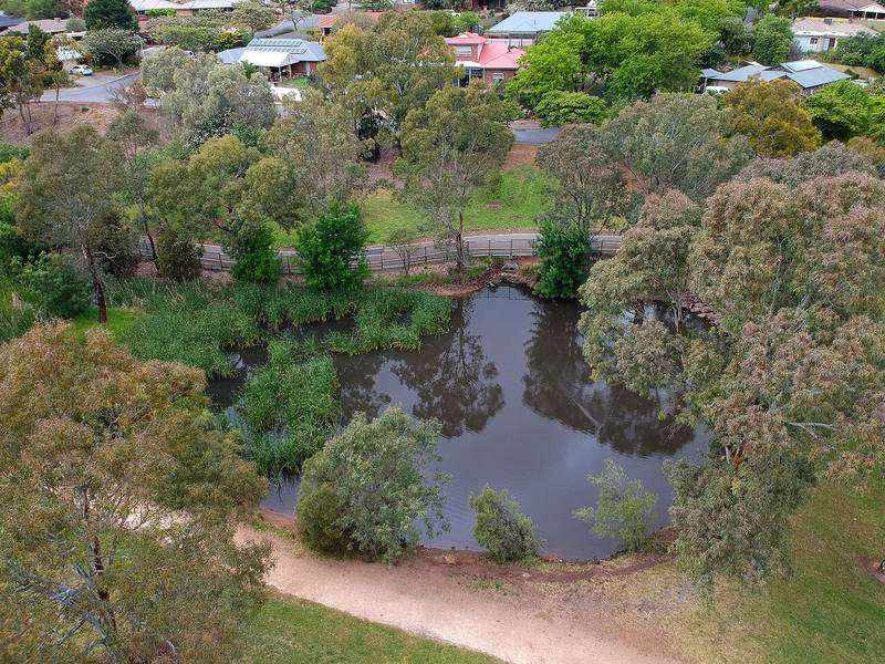 Duck pond and gum trees surrounded by homes, Sheidow Park SA 5158 — pest control service area for Mr Solution