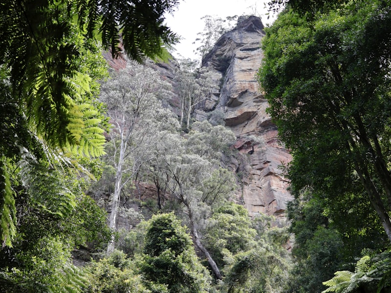 Sturt Gorge Recreation Park near Trott Park SA — pest control service area for Mr Solution