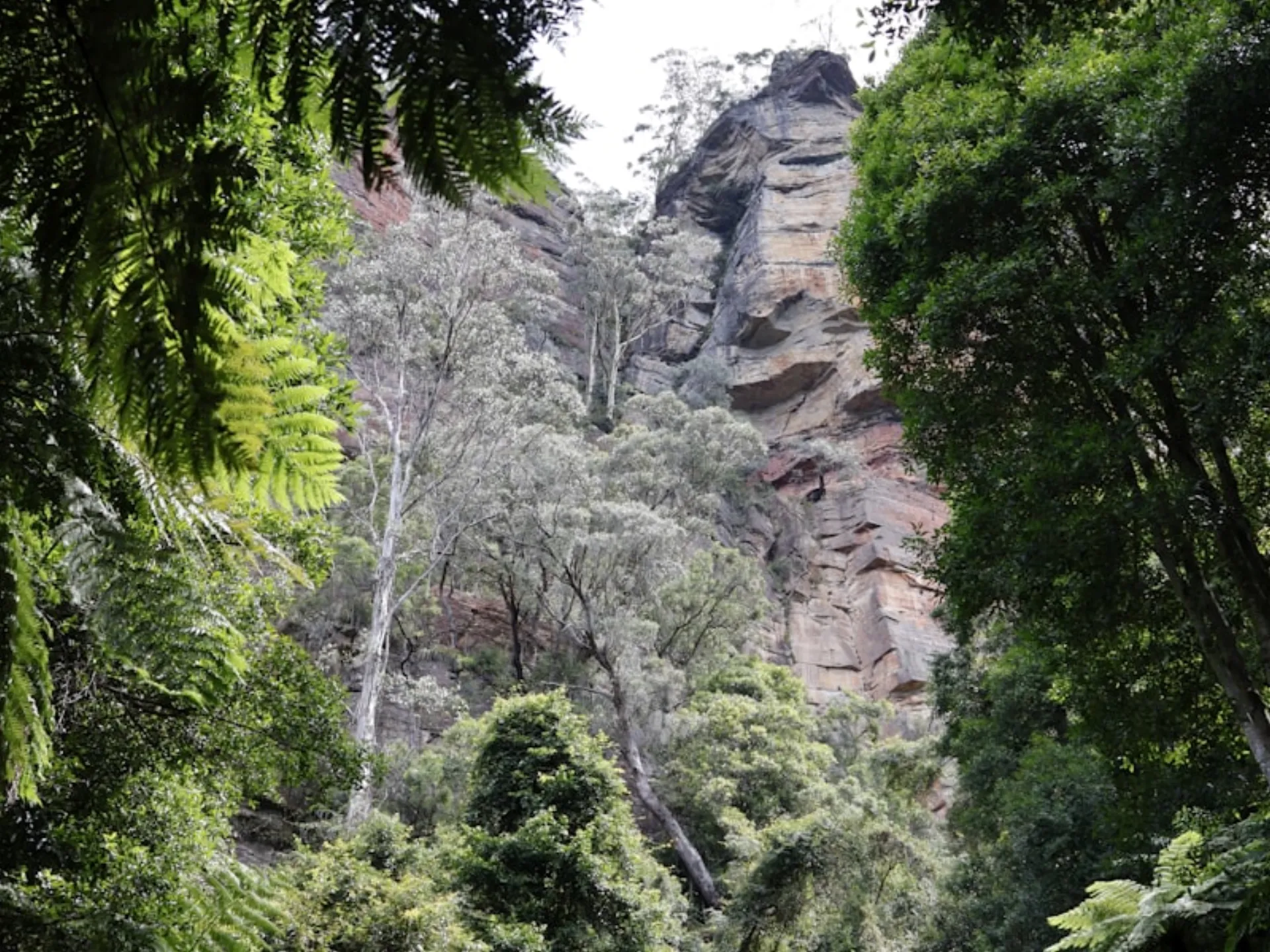 Sturt Gorge Recreation Park near Trott Park SA — pest control service area for Mr Solution